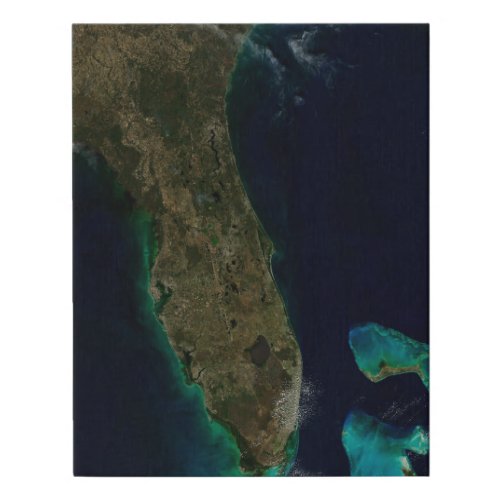 Satellite View Of Florida Faux Canvas Print
