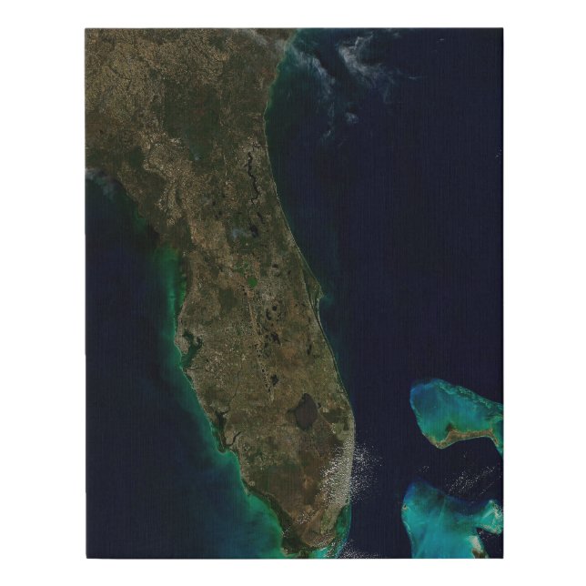 Satellite View Of Florida. Faux Canvas Print (Front)