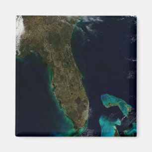 Satellite View Of Florida. Magnet