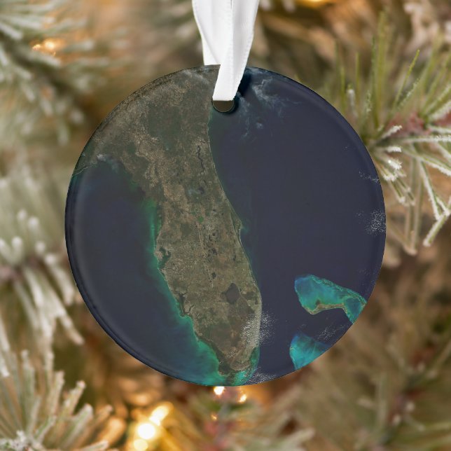 Satellite View Of Florida. Ornament (Tree)