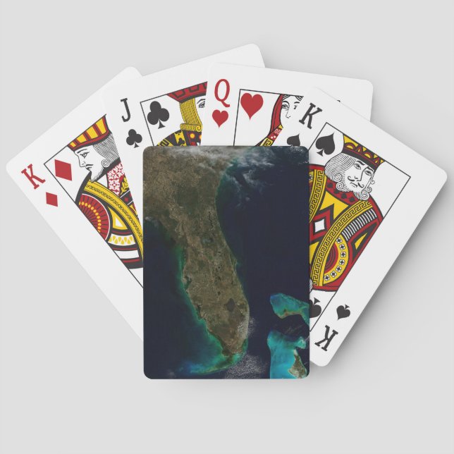 Satellite View Of Florida. Poker Cards (Back)