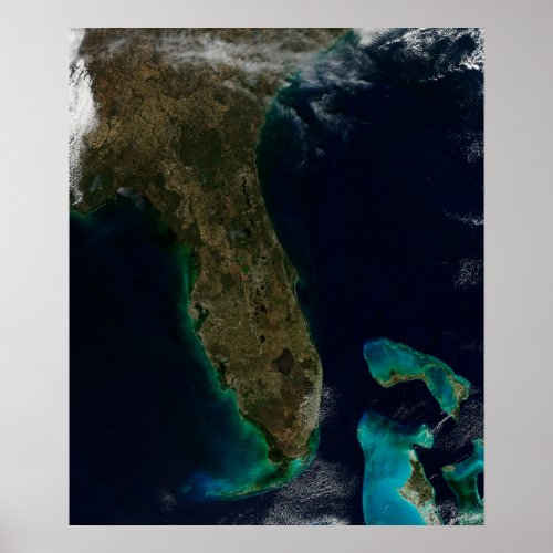 Satellite View Of Florida Poster