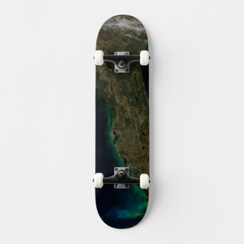 Satellite View Of Florida Skateboard