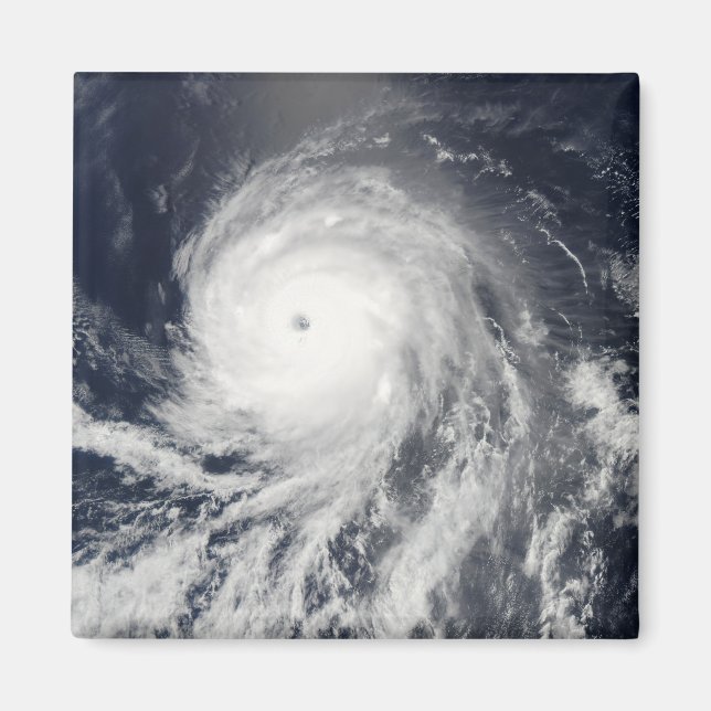 Satellite view of Hurricane Celia Magnet (Front)
