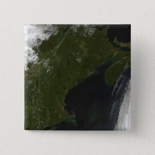 Satellite view of New England Pinback Button