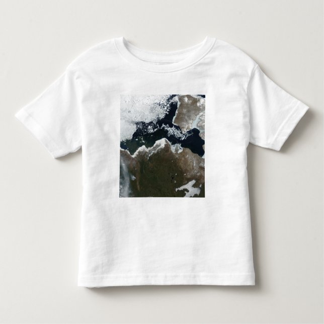 Satellite view of Northwest Canada Toddler T-shirt (Front)