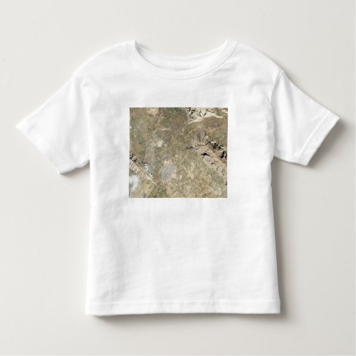 Satellite view of Persepolis Toddler T_shirt