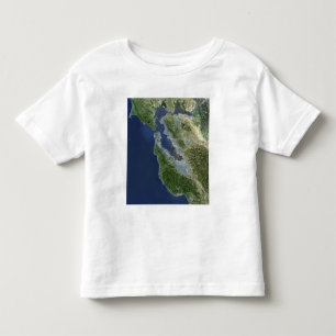 Satellite view of San Francisco, California Toddler T-shirt