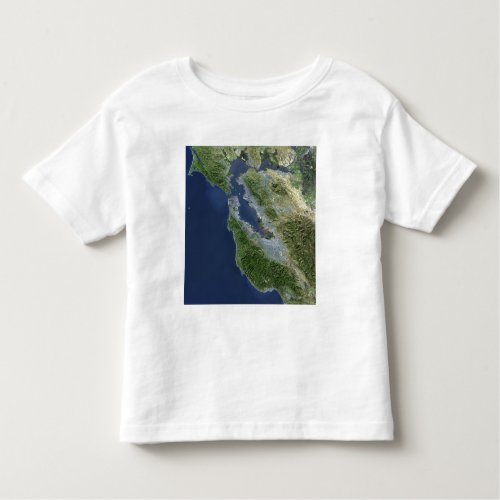 Satellite view of San Francisco California Toddler T_shirt