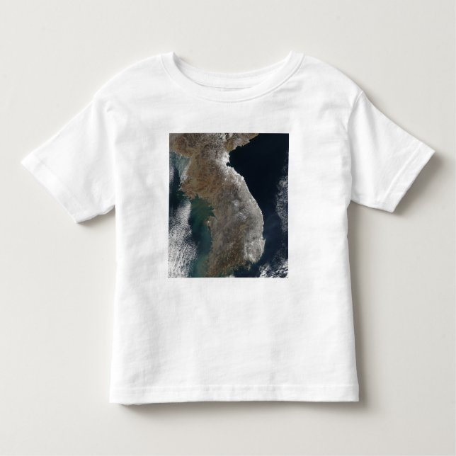 Satellite view of snowfall toddler t-shirt (Front)