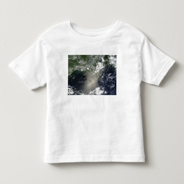 Satellite view of streaks and ribbons of oil toddler t-shirt (Front)