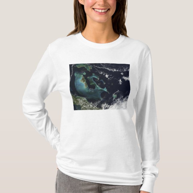 Satellite view of the Bahama Islands T-Shirt (Front)