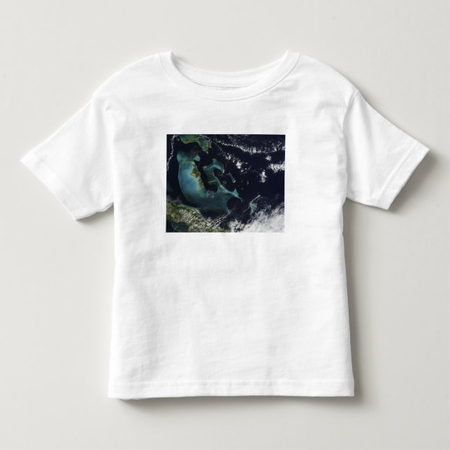 Satellite view of the Bahama Islands Toddler T-shirt (Front)