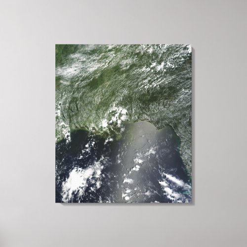 Satellite view of the Gulf of Mexico 2 Canvas Print