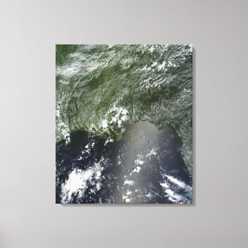 Satellite view of the Gulf of Mexico 2 Canvas Print