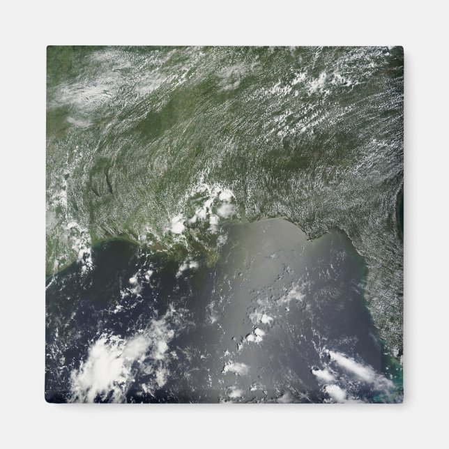 Satellite view of the Gulf of Mexico 2 Magnet (Front)