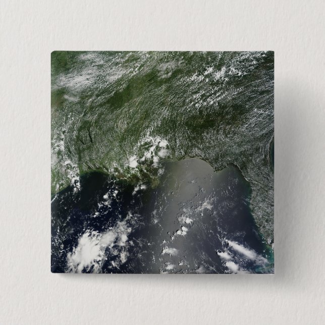 Satellite view of the Gulf of Mexico 2 Pinback Button (Front)
