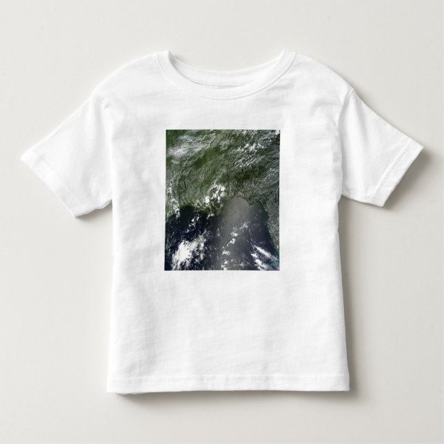 Satellite view of the Gulf of Mexico 2 Toddler T-shirt (Front)