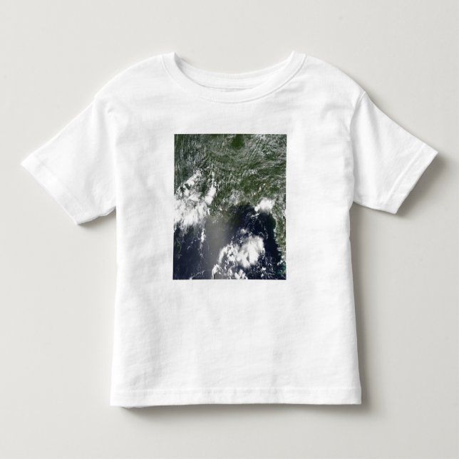 Satellite view of the Gulf of Mexico Toddler T-shirt (Front)