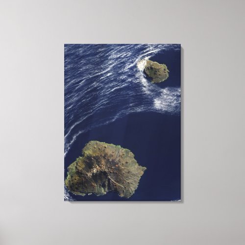 Satellite view of the Prince Edward Islands Canvas Print