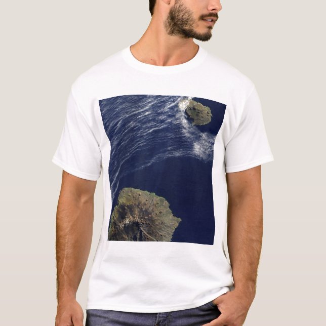 Satellite view of the Prince Edward Islands T-Shirt (Front)
