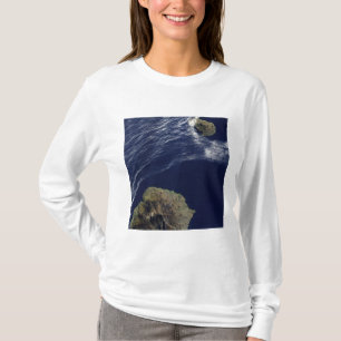 Satellite view of the Prince Edward Islands T-Shirt