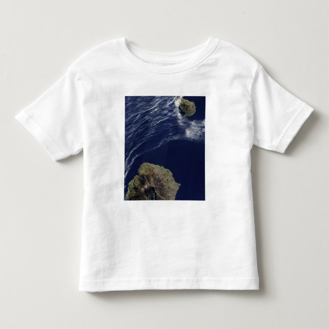 Satellite view of the Prince Edward Islands Toddler T-shirt (Front)