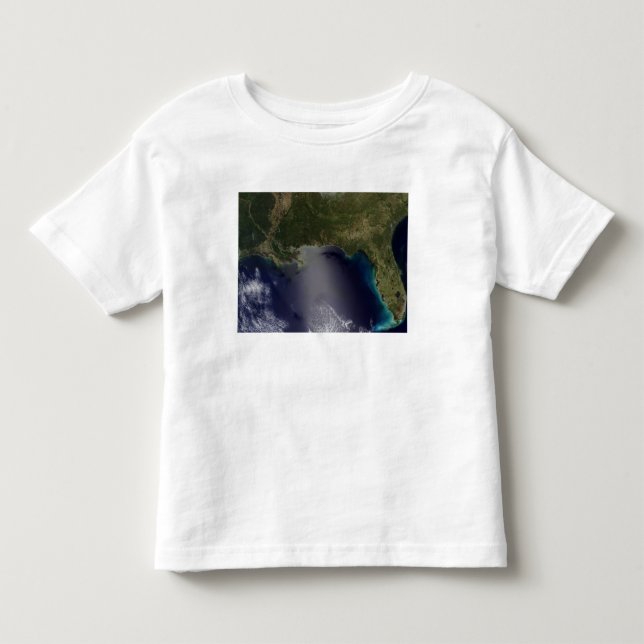 Satellite view of the Southeastern United State 2 Toddler T-shirt (Front)