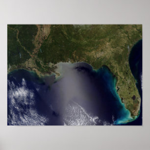 Satellite view of the Southeastern United State Poster