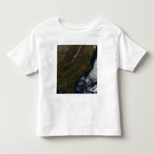 Satellite view of the Southeastern United State Toddler T-shirt