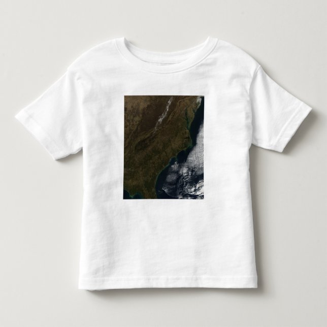 Satellite view of the Southeastern United State Toddler T-shirt (Front)