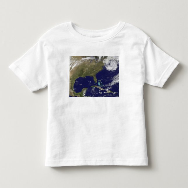 Satellite view of the United States East Coast Toddler T-shirt (Front)
