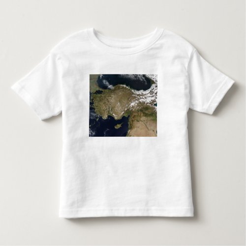 Satellite view of Turkey Toddler T_shirt