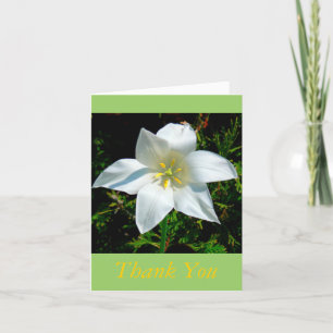 SATINY WHITE FLOWER /THANK YOU CARD/PHOTOG. LETTERPRESS THANK YOU CARD