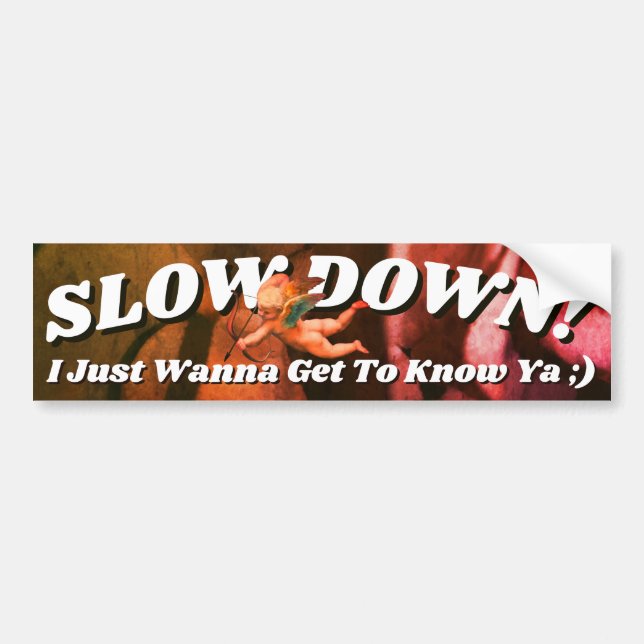 satomi motorsport Slow Down! Bumper Sticker (Front)