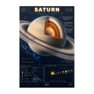 Saturn Cross-Section Science Infographic Acrylic Print