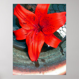 Saturn Flow Poster