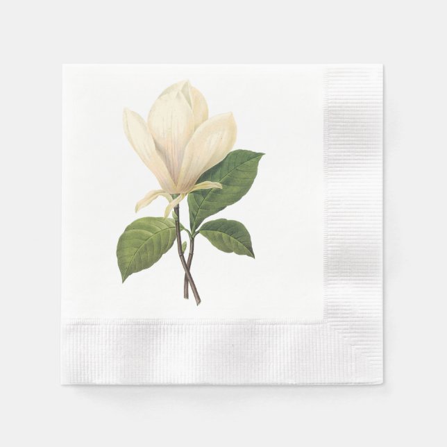saucer magnolia(Magnolia soulangiana) by Redouté Paper Napkins (Front)