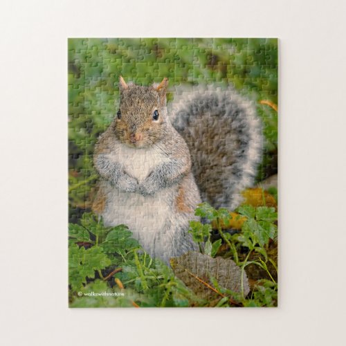 Saucy Cute Squirrel Could You Spare a Peanut Jigsaw Puzzle