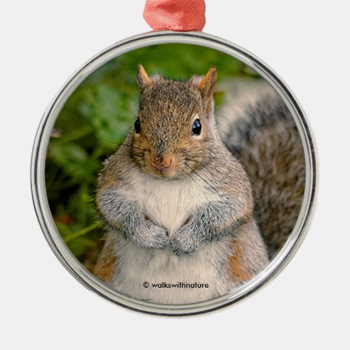 Saucy Cute Squirrel Could You Spare a Peanut Metal Ornament