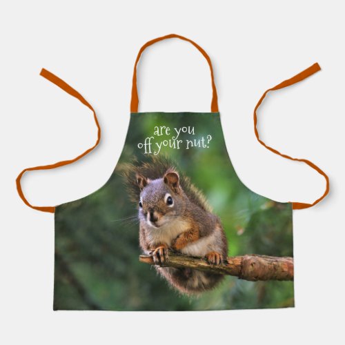 Saucy Red Squirrel in the Fir Apron