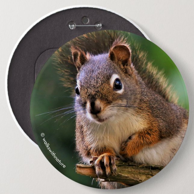 Saucy Red Squirrel in the Fir Button (Front & Back)