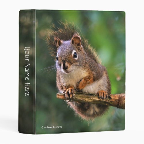 Saucy Red Squirrel in the Fir Mini Binder