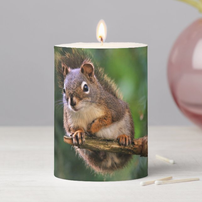 Saucy Red Squirrel in the Fir Pillar Candle (In Situ)