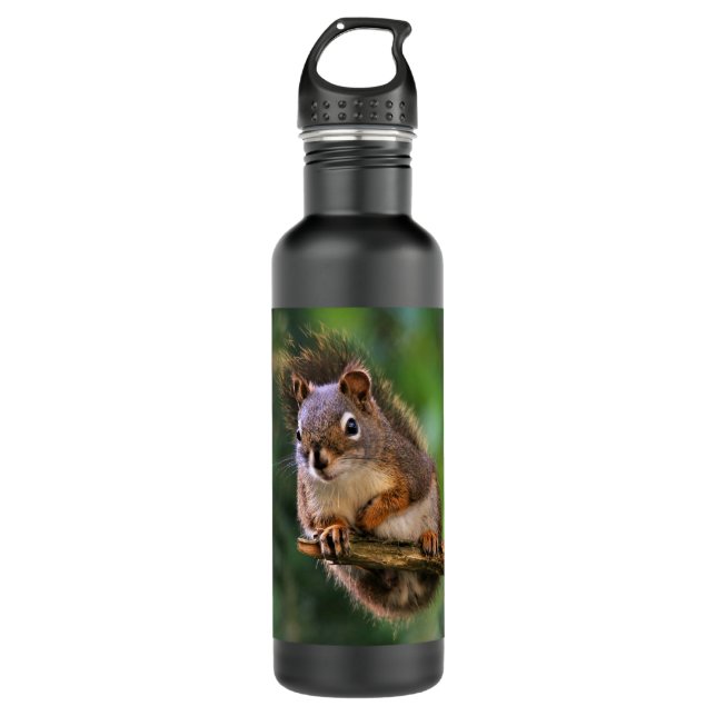 Saucy Red Squirrel in the Fir Stainless Steel Water Bottle (Front)