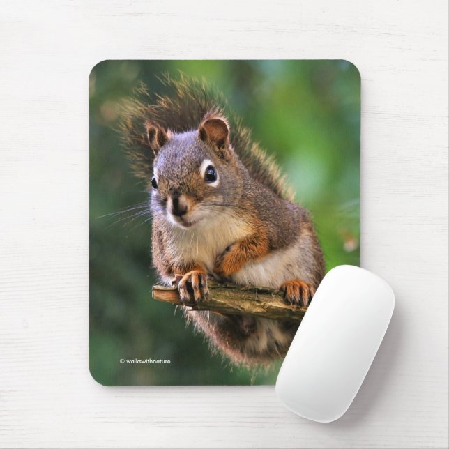 Saucy Red Squirrel in the Fir Tree Mouse Pad (With Mouse)