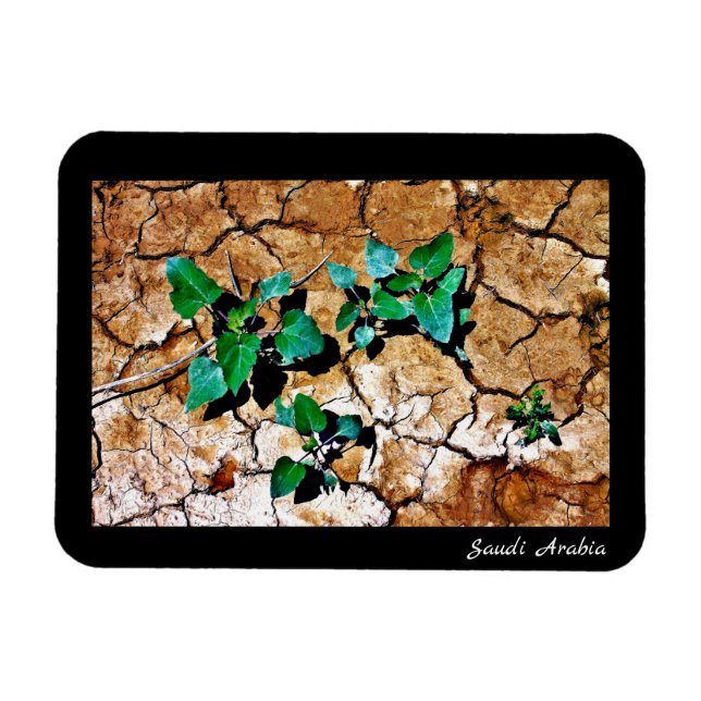 Saudi Arabia Magnet (Horizontal)