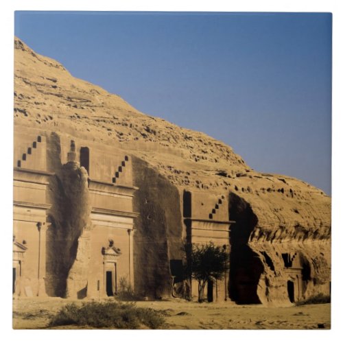 Saudi Arabia site of Madain Saleh ancient 2 Tile