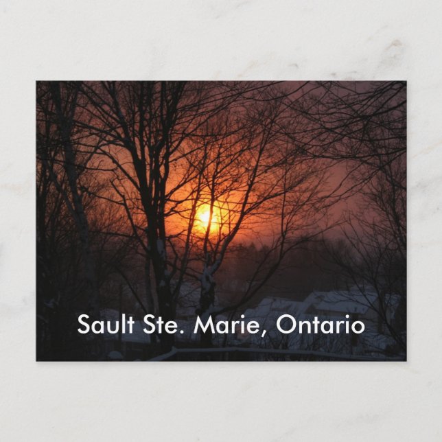Sault Ste. Marie, Ontario Postcard (Front)