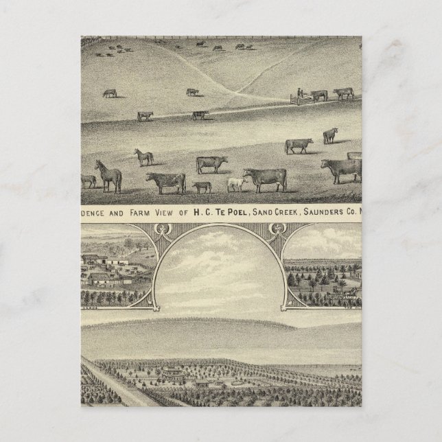 Saunders County Farms, Nebraska Postcard (Front)